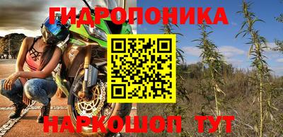 дмт Тара