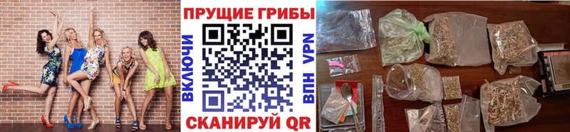 Псилоцибиновые грибы Psilocybe  это телеграм  Сегежа 